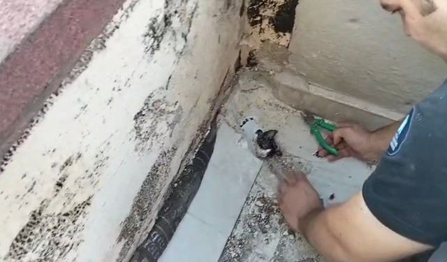 Yavru kediyi itfaiyeciler kurtardı