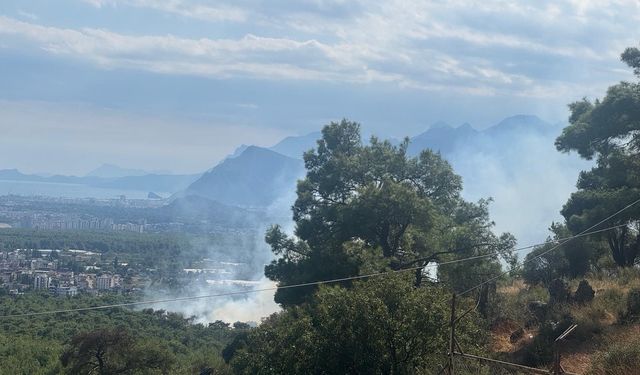 Antalya'da orman yangını