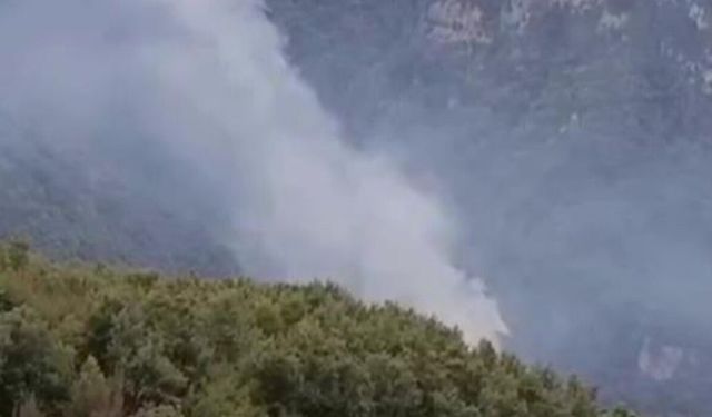 Hatay’da orman yangını
