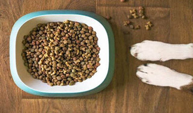 KÖPEK HAZIR KURU MAMA ALINMASI İŞİ