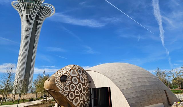 COP31 Antalya'da caretta caretta damgası