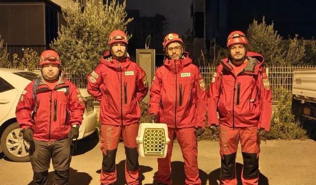 Döşemealtı'da 'baykuş' operasyonu