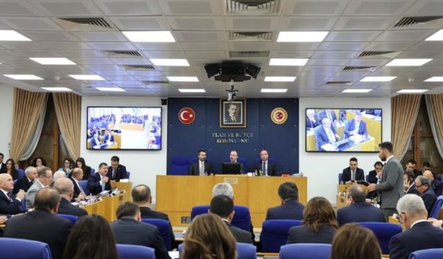 ’Fon Düzenlemesi’ Plan ve Bütçe Komisyonu’nda