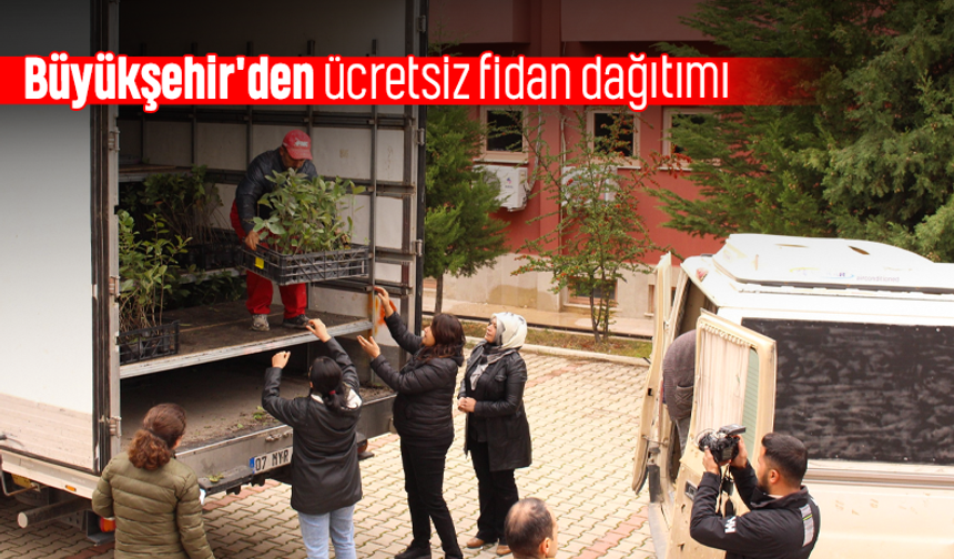 Büyükşehir'den ücretsiz fidan dağıtımı