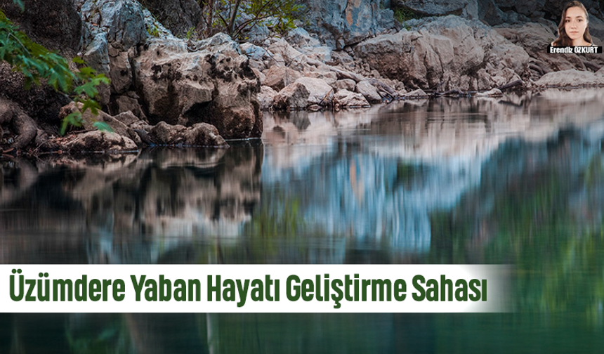 Antalya’da yaban hayatı geliştirme sahası