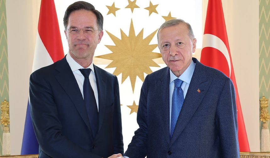 Hollanda Başbakanı Rutte: NATO'nun Türkiye'ye ihtiyacı var
