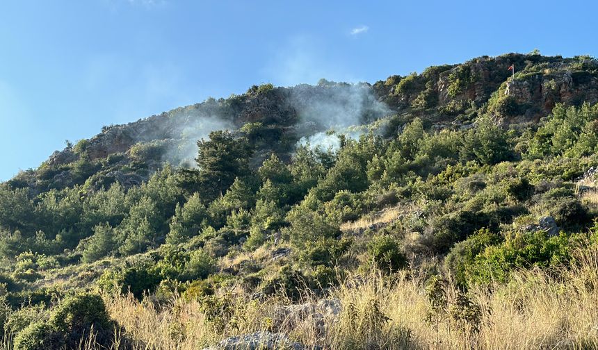 Alanya'da orman yangını