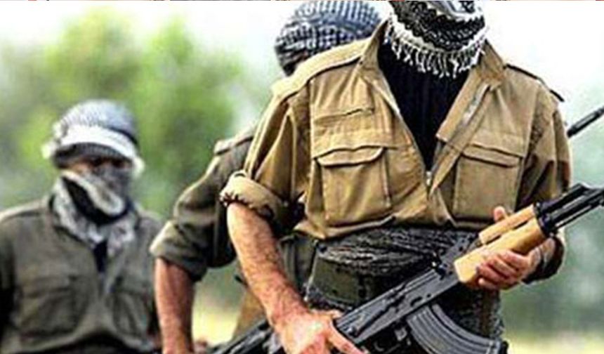 PKK'nın propaganda kanalına baskın