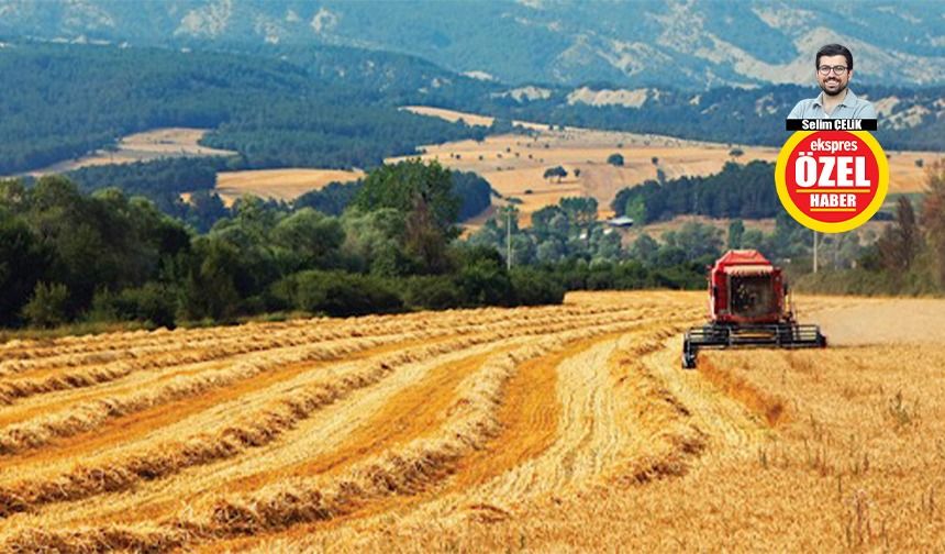 Dikkat! Bu ürünleri ekerseniz ceza alabilirsiniz