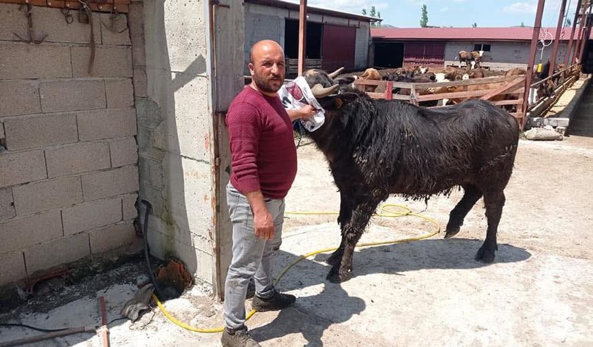 Komşuların arazi kavgası kanlı bitti