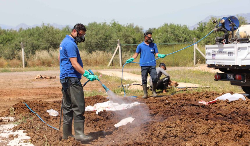 Büyükşehir kurban satış noktalarını ilaçlıyor