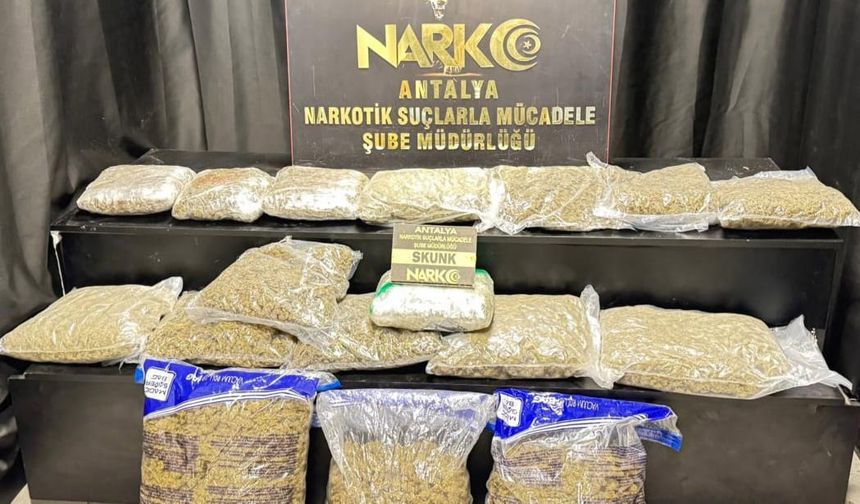 Antalya'da 21 kg skunk ele geçirildi