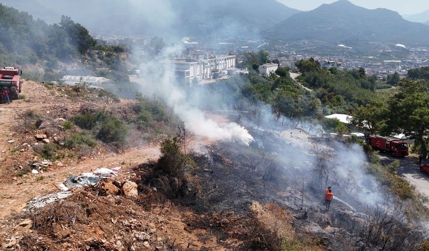 Alanya'da makilik alanda yangın