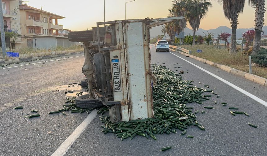 Gazipaşa'da salatalık yüklü kamyonet devrildi