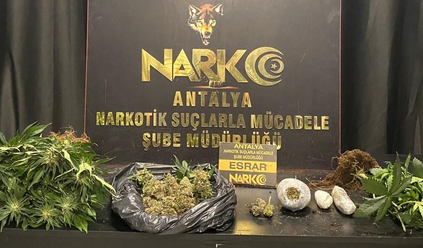17 zehir taciri tutuklandı