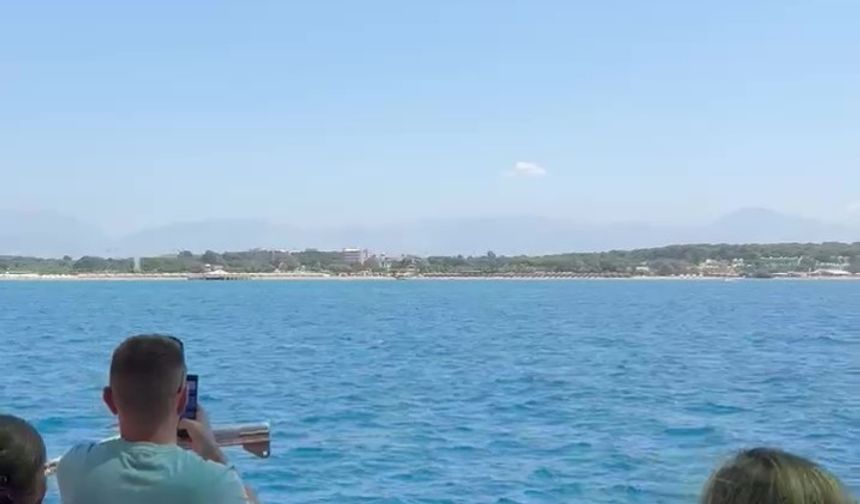 Side'de Akdeniz foku görüntülendi