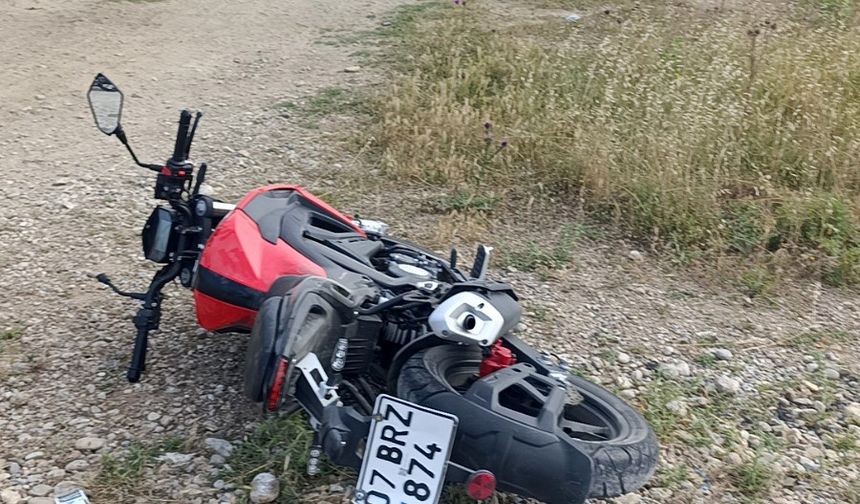 Kaza yapmamak için yola devrildi