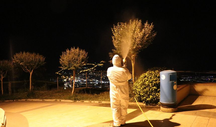 Alanya'da zirai mücadele