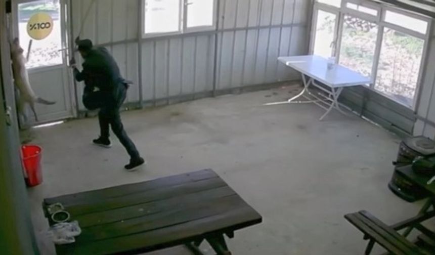 Köpeğe dehşet yaşattı