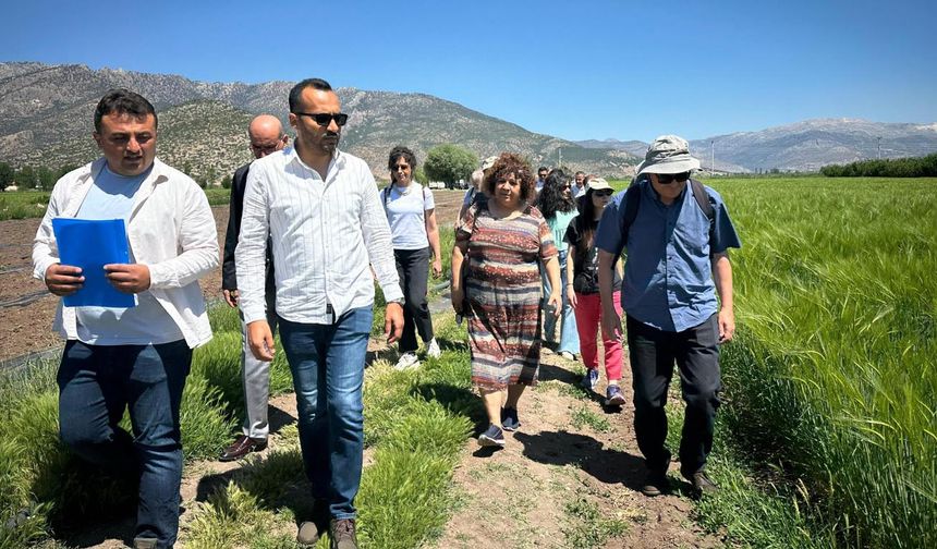Cezaevlerinde organik tarım eğitimi