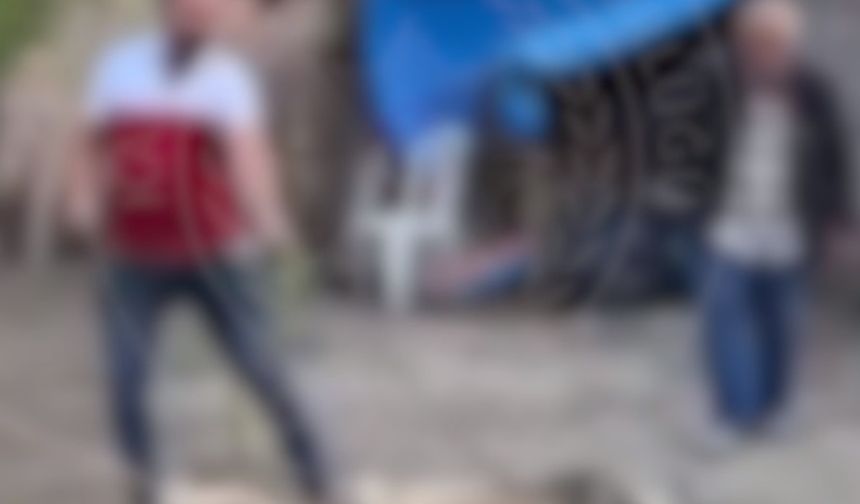 Köpek dövüştüren 2 kişiye gözaltı