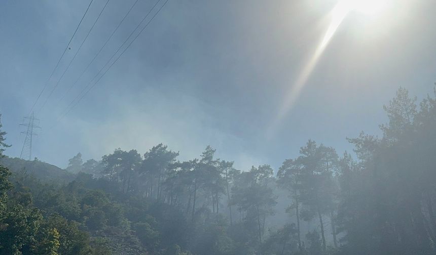 Marmaris'te orman yangını