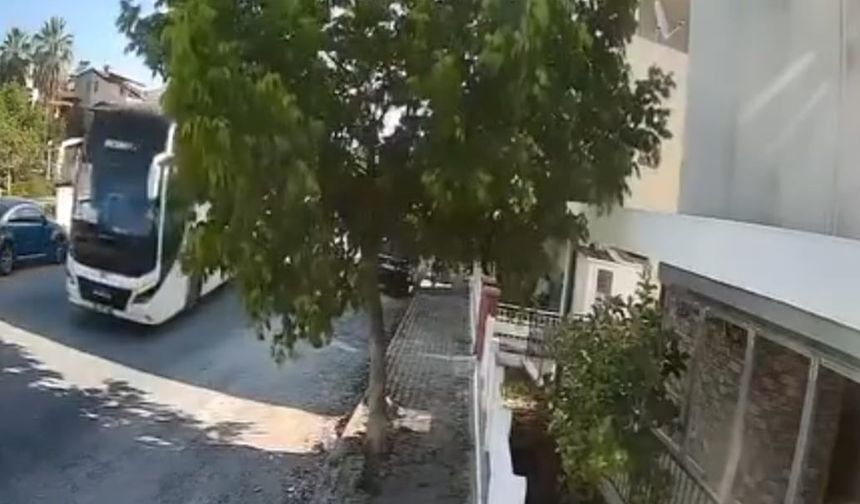 Sokakta yatan köpeği ezip yoluna devam etti