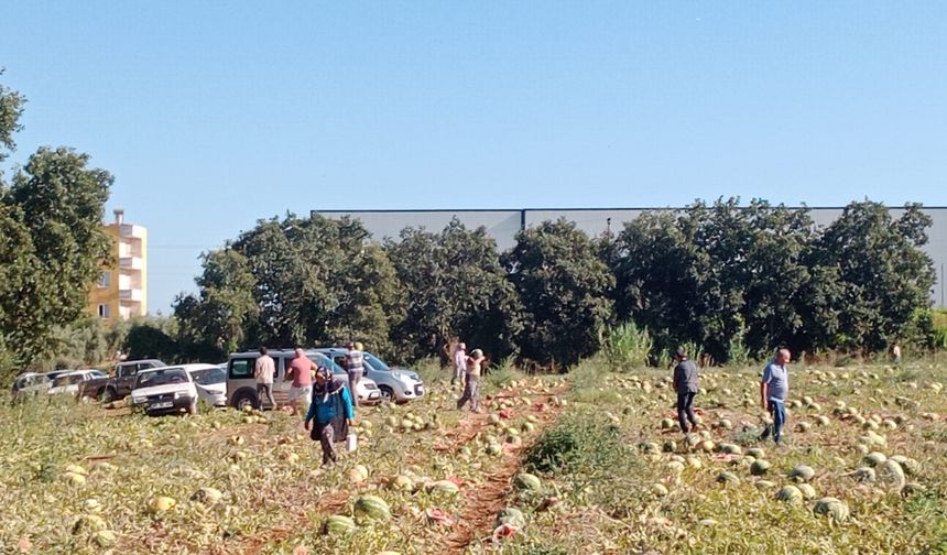 Antalya'da 120 ton karpuzu bedava dağıttı
