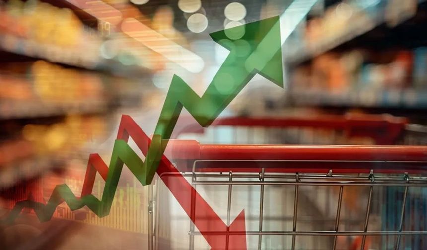 Mehmet Balık'tan sert eleştiri: Ne tarafa doğru büyüdük?