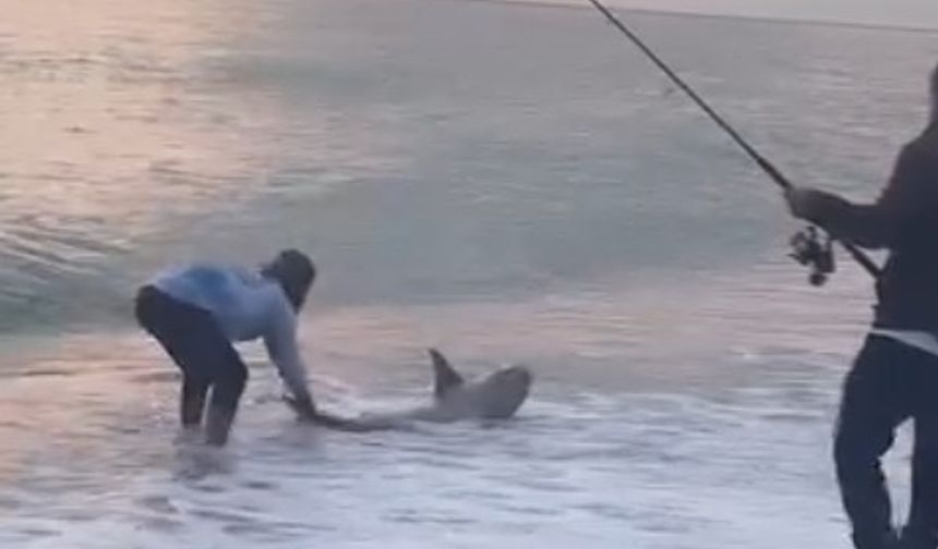 Antalya'da amatör balıkçı köpek balığı yakaladı