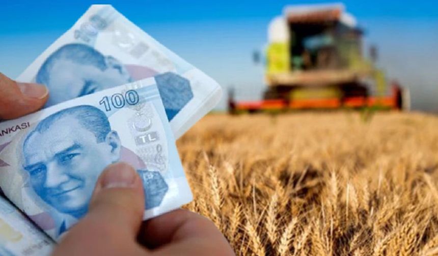 'Maliyet artıyor, çiftçi zararına satıyor!'