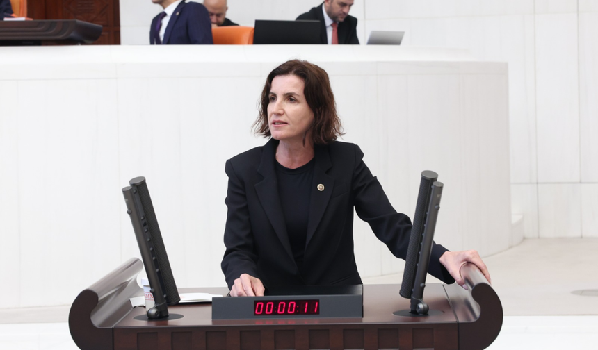 Aliye Coşar'dan sert sözler: Facianın sorumlusu sizsiniz!