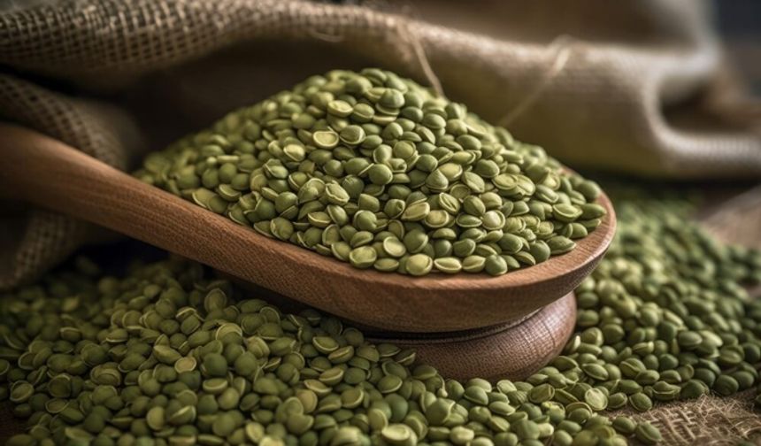 İthalatta vergi sıfırlandı, üreticiden tepki yükseldi