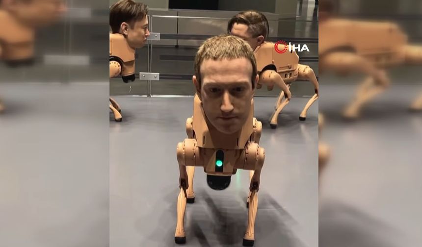 Robot köpekler büyük ilgi çekti