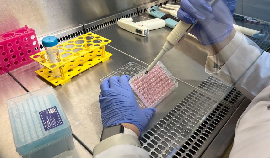 Çip üstü organ teknolojisiyle araştırılıyor