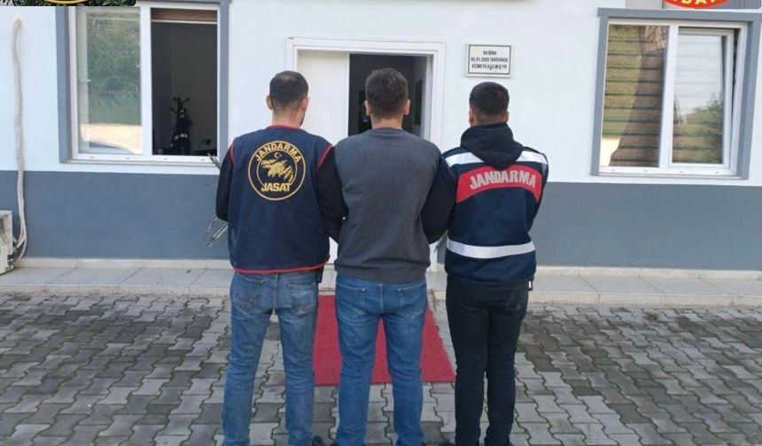 Aranan 217 kişi yakalandı