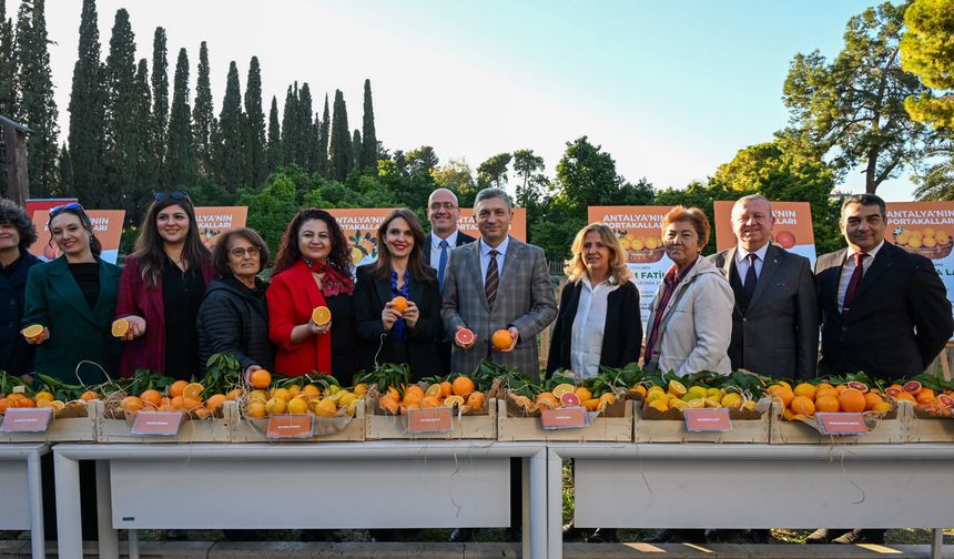 Tescillenen Antalya portakalları tanıtıldı