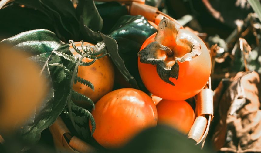 Amme meyvesi: Doğu’dan Anadolu’ya uzanan bir şifa serüveni