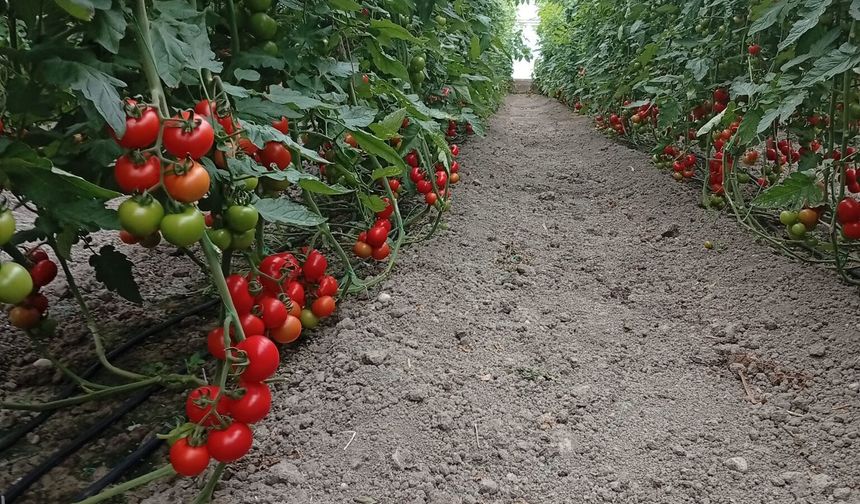 Seraların yıkımı ertelendi