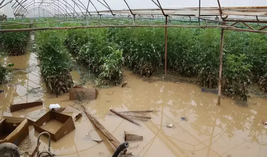 Başkan Çandır, afetin bilançosunu açıkladı