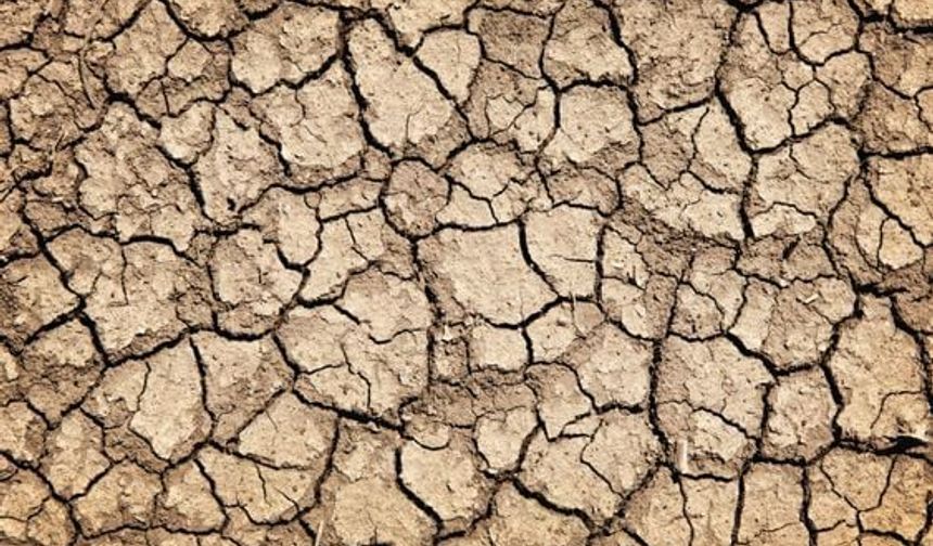 ‘Bilimsel ve bağlayıcı su politikaları şart’