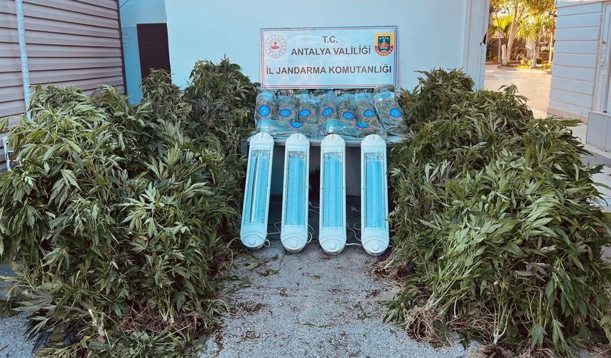 Aksu’da uyuşturucu operasyonu