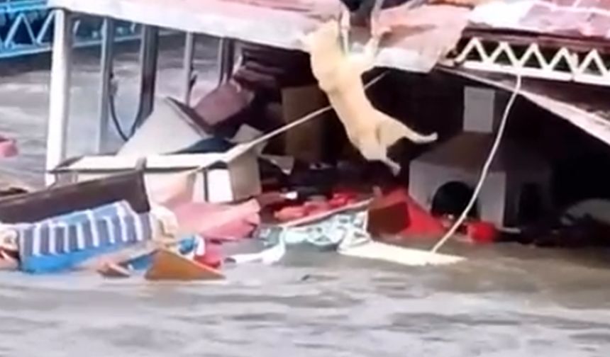 Kuvvetli yağış 6 ilçede hasara neden oldu