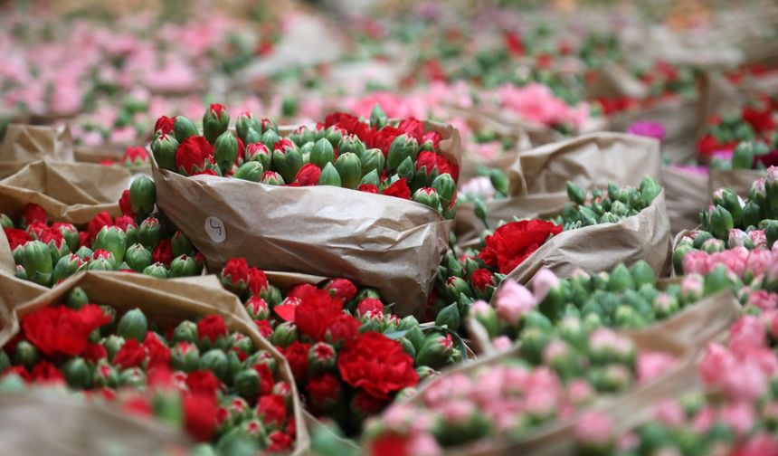 Antalya'dan 10 milyon dolarlık çiçek satışı