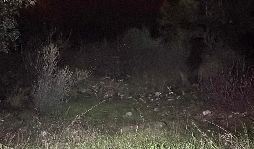 Dengesini kaybetti uçurumdan yuvarlandı