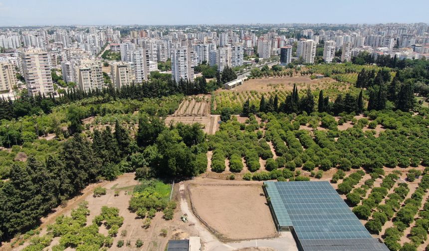 Antalya'da büyük kayıp