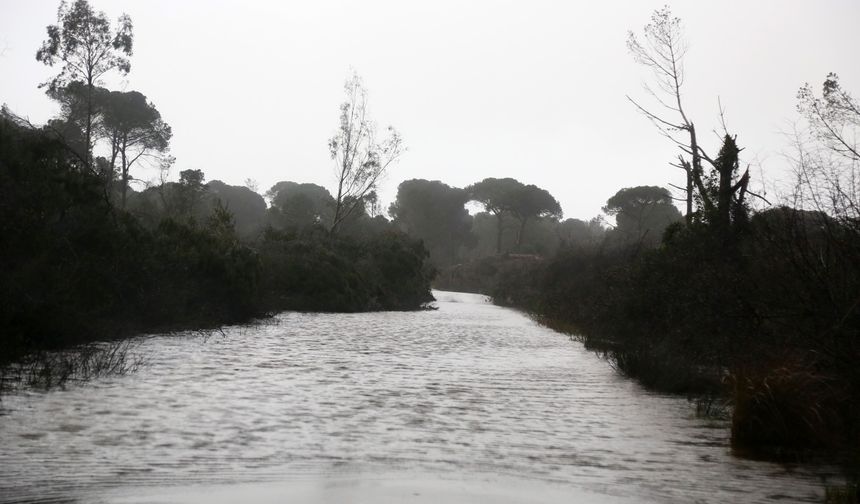 Antalya'da çaylar taştı, çardaklar denize sürüklendi!