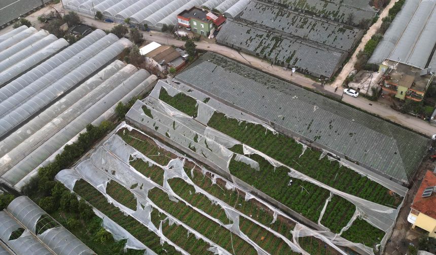 Antalya'da zarar 300 milyon TL