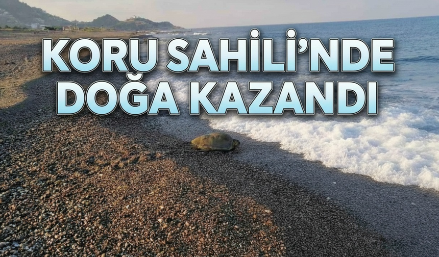 Koru Sahili'nde doğa kazandı!