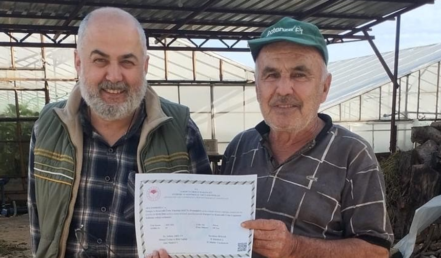 Gazipaşa'da kontrollü üretime sertifika